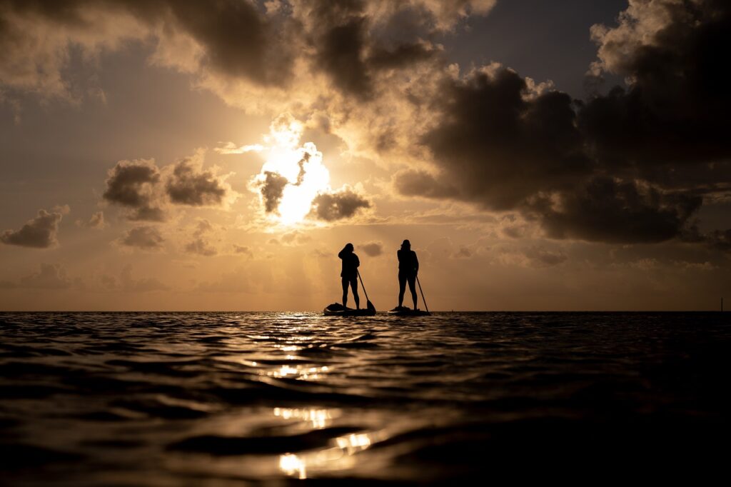 standup paddleboarding, sea, sunset, nature, silhouette, sunlight, paddling, paddle boards, water sport, water, ocean, adventure, recreation, sport, horizon, sky, clouds, dusk, dark